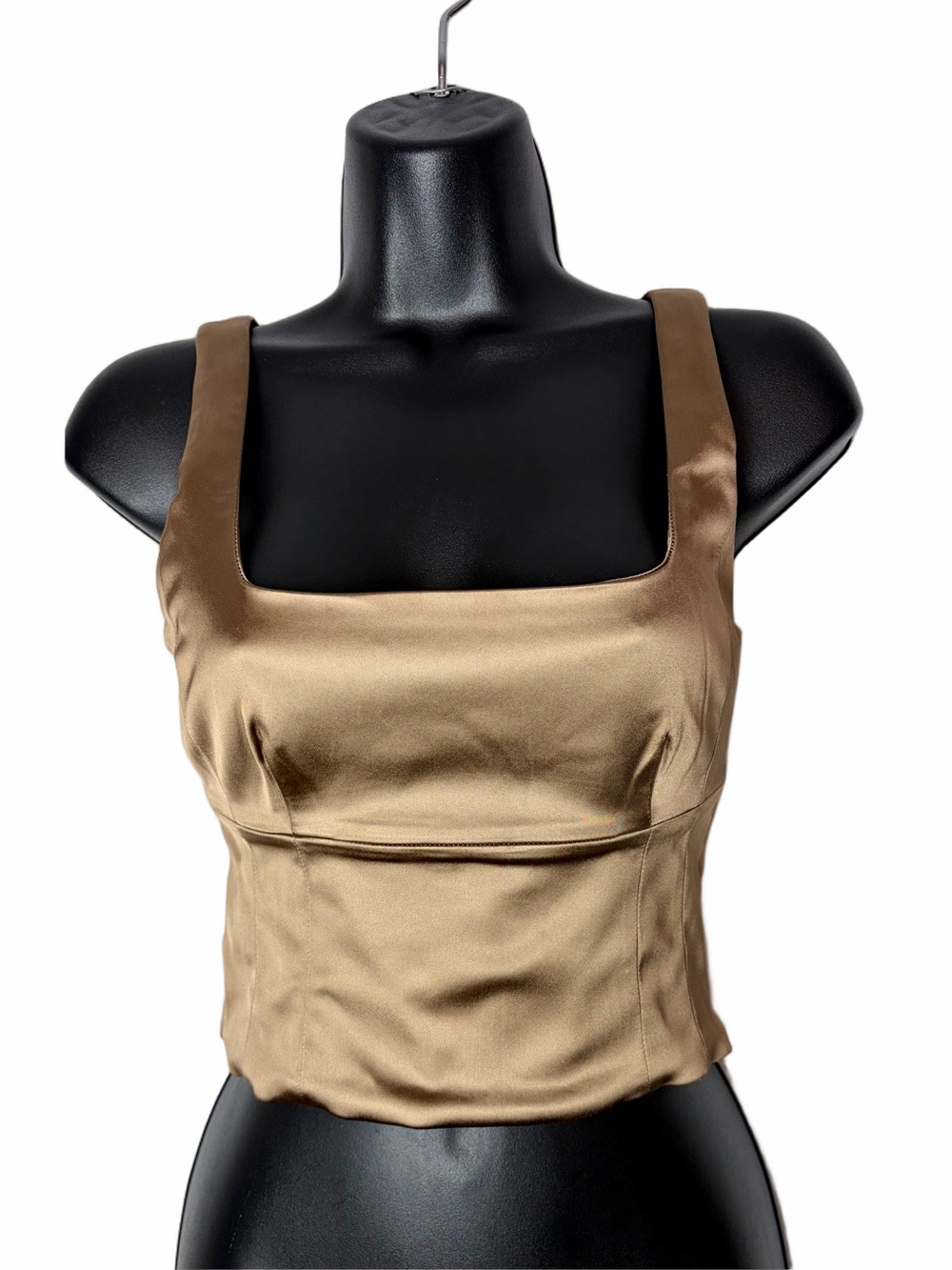 Aritzia Wilfred Bronze Shine Bustier Cropped Satin Like Top ($88) - Picture 8 of 13